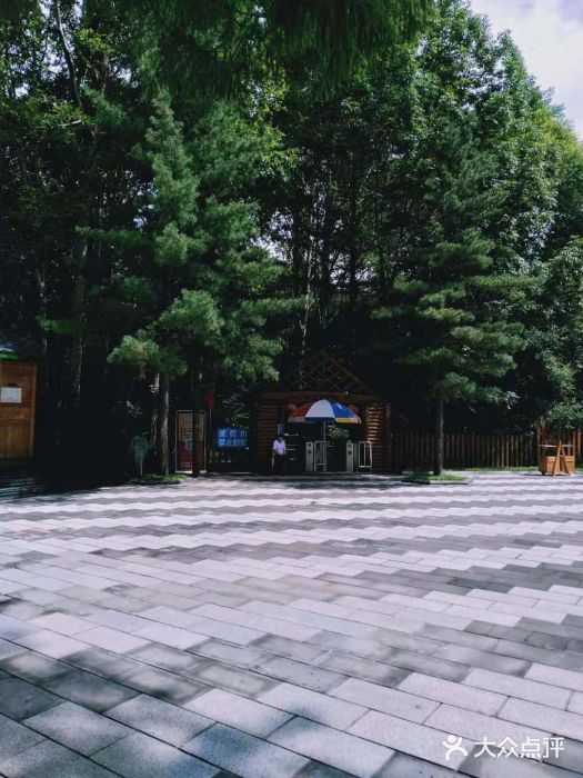 吊水壶国家森林公园图片