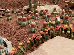 -南通洲际绿博园