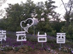 -紫云台香草园