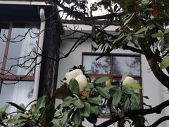 -丫口花园餐厅·融合菜