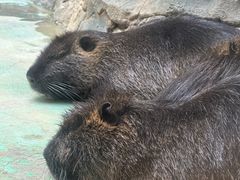 -青藏高原野生动物园