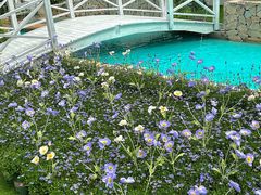 -Blue Concept Cafe&Farm·關於藍