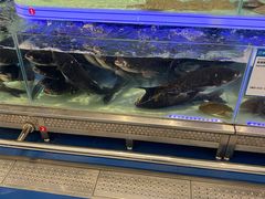 -盒马X会员店(上海森兰商都店)