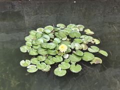 -上海方塔园