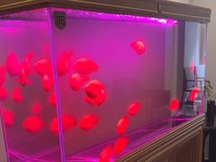 -金蚁康•经络调理•肩颈按摩(万达金街店)