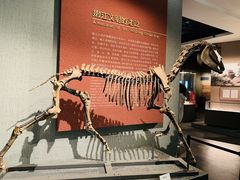 -齐齐哈尔市博物馆