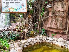 -嘉和K6温泉微度假