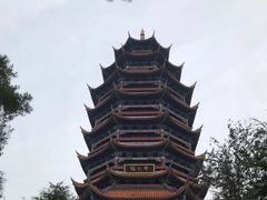 -铁山坪森林公园