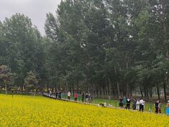 -长白岛森林公园