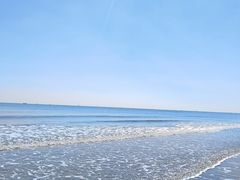 -日照海滨国家森林公园
