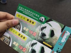-成都大熊猫繁育研究基地