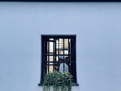-青果巷历史文化街区