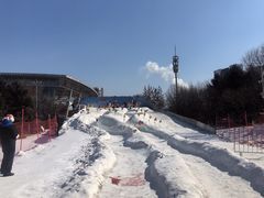 -沈阳奥体冰雪嘉年华