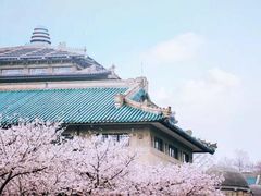 -武汉大学-樱园
