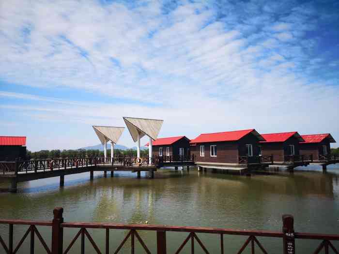 阿德哥休闲渔庄-"阿德哥,非常喜欢的一家餐厅!菜品,基本都.