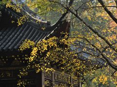 -汇龙潭