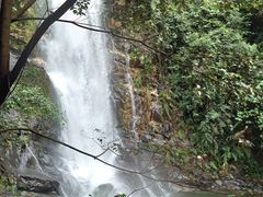 -鼎湖山风景区