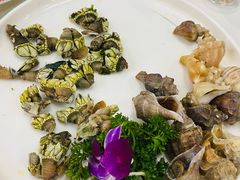 -舌尖上·霞浦滩涂海鲜·新闽菜(总店)