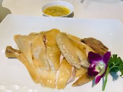 白切鸡-东海海鲜酒家(中信广场店)