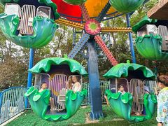 -郑州方特梦幻王国