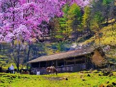 -九皇山景区