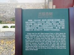 -北京凤凰岭