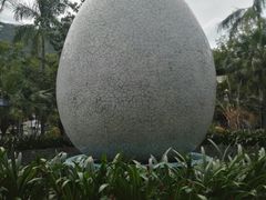 -100蛋泥浆浴