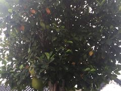 -黄埔古港