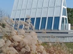 -西山漾湿地公园