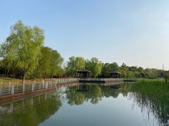 -同里国家湿地公园