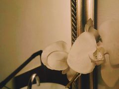 -Dragonfly悠庭·按摩Spa(静安嘉里中心店)