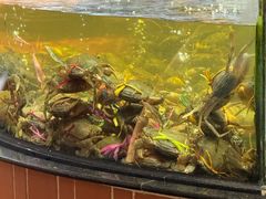 -闽南厝·闽南菜(福隆店)