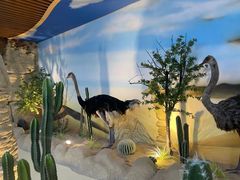 -西霞口神雕山野生动物世界