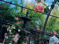 -The Grounds of Alexandria