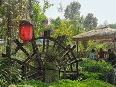 -青城甲(青城山店)