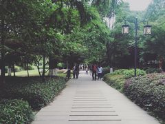-白马涧龙池景区