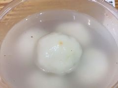 -海丝金凤(金鱼店)