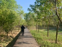 -东郊湿地公园