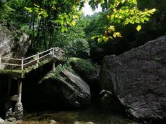-牛背梁国家森林公园