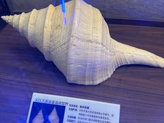 -大连圣亚海洋世界