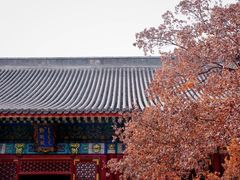 -香山公园