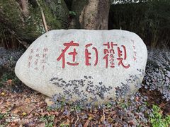 -峨眉山报国寺
