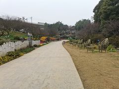 -秀丽东方