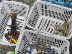 -范饭椰林川湘味海鲜·椰子鸡(三亚湾椰梦长廊店)