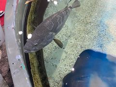 -鸿通城购物中心