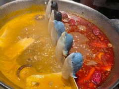 -湊湊火锅·茶憩(新中关购物中心店)