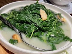 -山东老家(科韵分店)