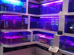水产区-喜粤广东菜(汉屯路店)