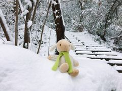 -九曜山