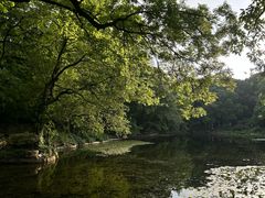 -灵谷景区